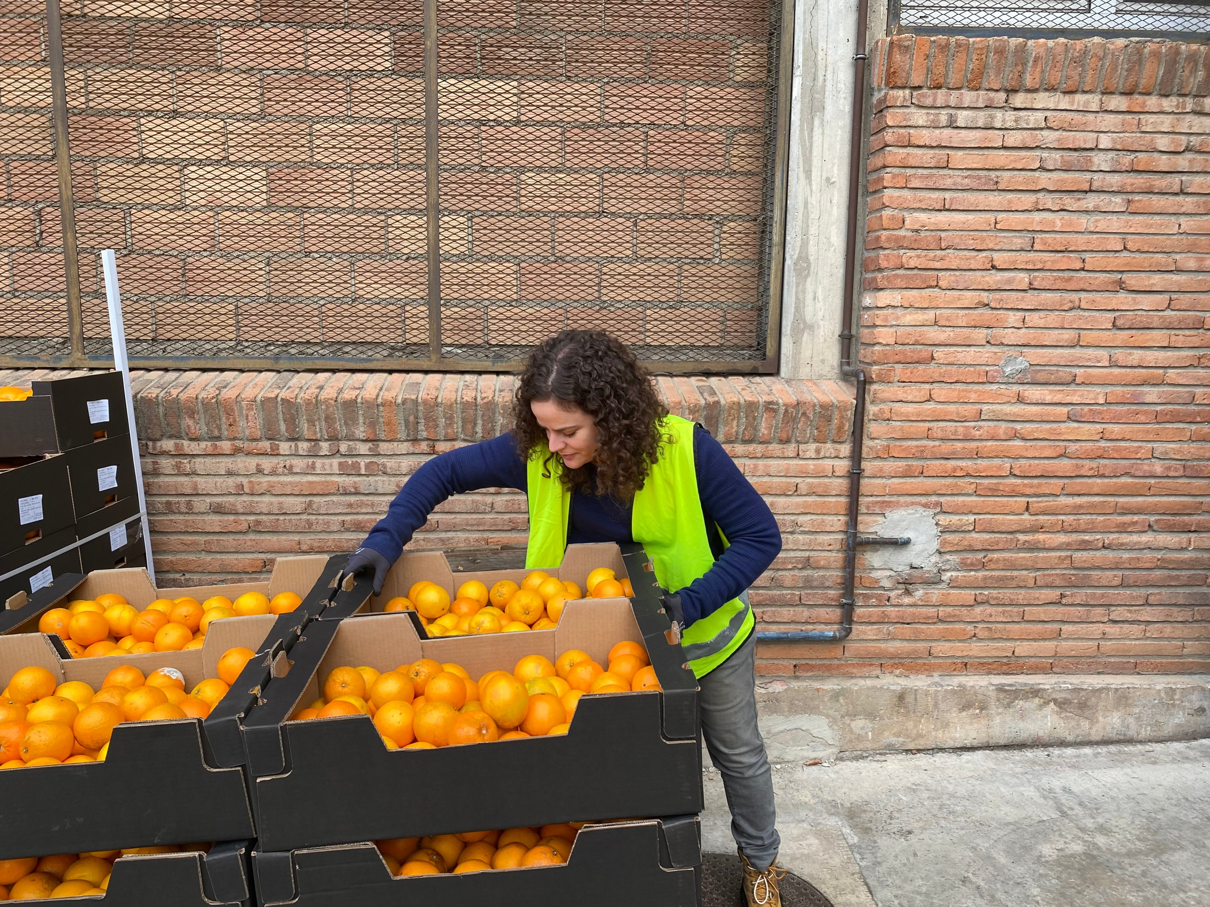 volunteer-bancs-del-aliments