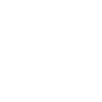 globe_white_icon