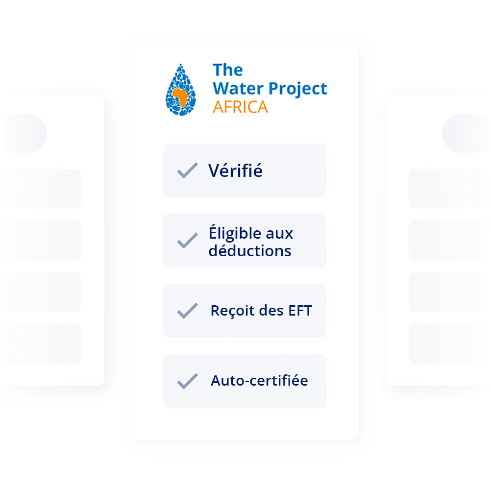 The water project